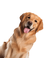 hm3_hero1_dog4