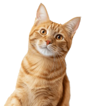 hm3_hero2_cat3